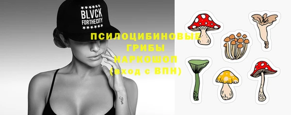 скорость Жердевка